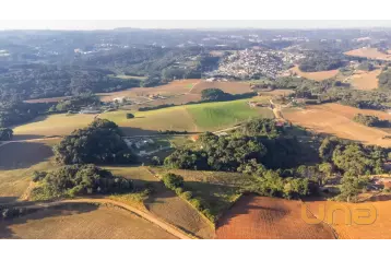 Chácara em Campo Magro