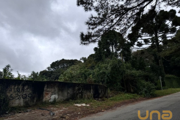 Terreno à venda, 348 m² por R$ 770.000,00 - Mossunguê - Curiti