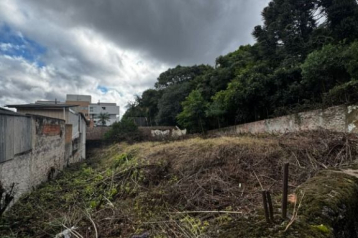 Terreno à venda, 348 m² por R$ 770.000,00 - Mossunguê - Curiti