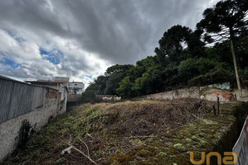 Terreno à venda, 348 m² por R$ 770.000,00 - Mossunguê - Curiti