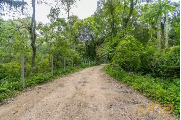Terreno 745m2 rua sem saída Santa Felicidade