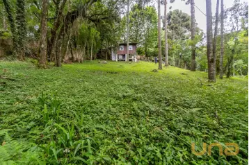 Terreno 745m2 rua sem saída Santa Felicidade