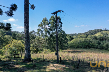 Chácara no São Luiz do Purunã de 232000,00 m²  - 51196.074-CLA