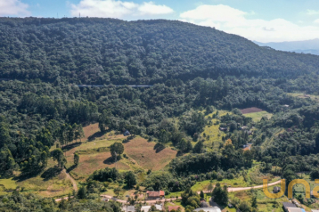 Chácara no São Luiz do Purunã de 232000,00 m²  - 51196.074-CLA