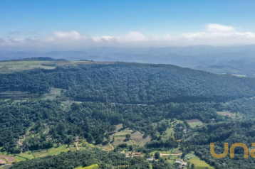 Chácara no São Luiz do Purunã de 232000,00 m²  - 51196.074-CLA