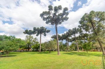 Chácara no Salgadinho de 37906,00 m²  - 11357.001-CLA