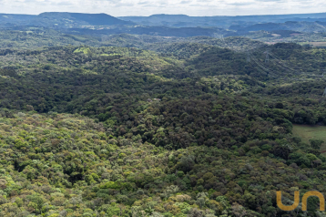 Terreno Rural em Campo Largo