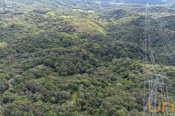 Terreno Rural em Campo Largo