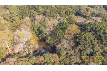 Chácara 62.550m² no Rondinha - Campo Largo