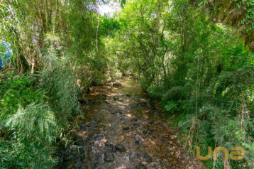 Terreno/Área no Faxina de 899217,00 m²  - 11369.001-CLA