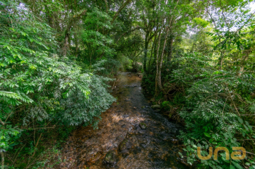 Terreno/Área no Faxina de 899217,00 m²  - 11369.001-CLA