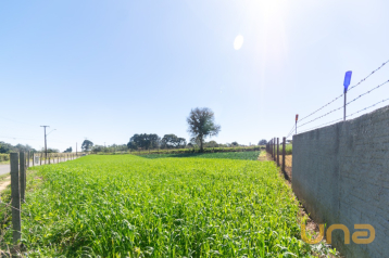 Terreno/Área no Vila Santa Terezinha de 1315,70 m²  - 52451.00