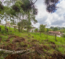 Terreno Próximo Alphaville Campo Largo