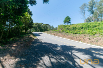 Chácara no Taquaral de 13452,00 m²  - 51196.091-CLA
