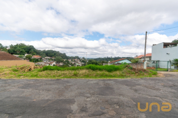 Terreno/Área no Aparecida de 720,00 m²  - 11453.001-CLA