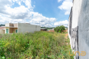 Terreno/Área no Cristo Rei de 200,00 m²  - 11457.001-CLA