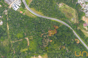 Terreno com 96.200m² na Colônia Vila Prado - Almirante Tamanda