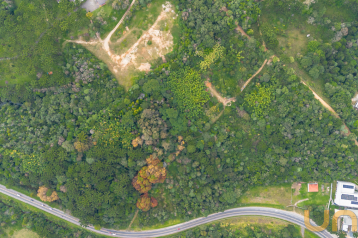 Terreno com 96.200m² na Colônia Vila Prado - Almirante Tamanda