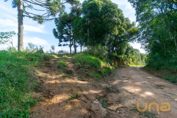 Chácara no Colônia Figueiredo de 48513,00 m²  - 11489.001-CLA
