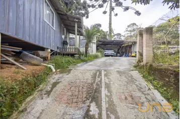 Terreno Mossungue Próximo a Paulo Gorski