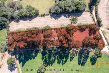 Terreno/Área no Jardim Florestal de 5316,78 m²  - 11506.001-CL