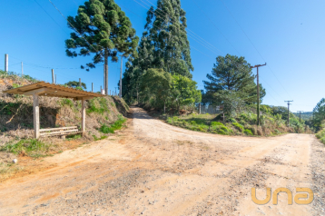 Terreno/Área no Jardim Florestal de 5316,78 m²  - 11506.001-CL