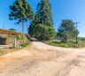 Terreno/Área no Jardim Florestal de 5316,78 m²  - 11506.001-CL