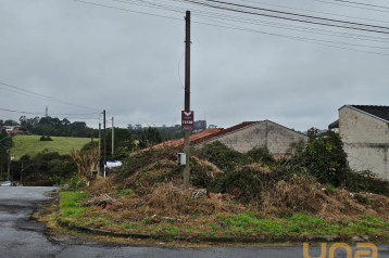 Terreno / Lote em CAMPO LARGO com 221 m²