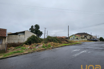 Terreno / Lote em CAMPO LARGO com 221 m²