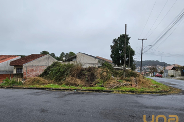 Terreno / Lote em CAMPO LARGO com 221 m²