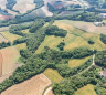 Chácara  com 6 alqueires em Campo Largo