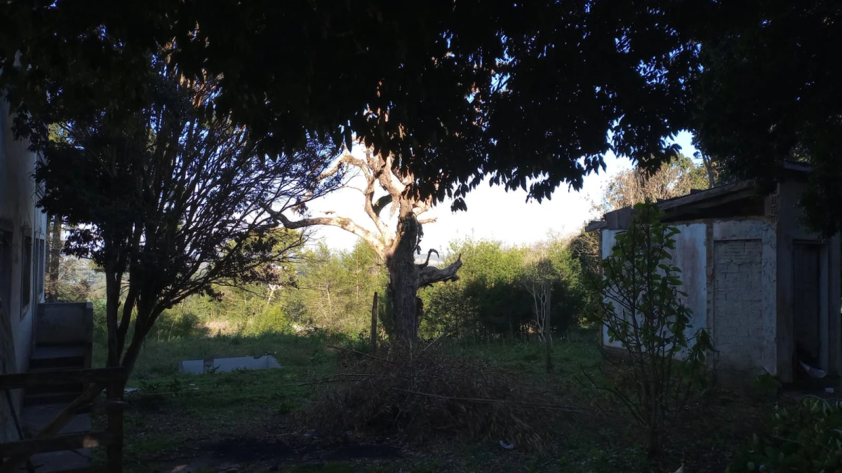 Foto 11