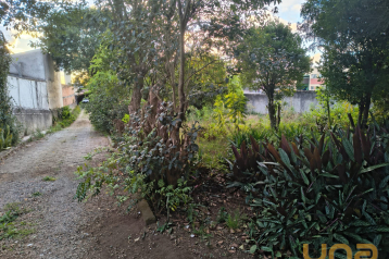 Terreno - Pinhais