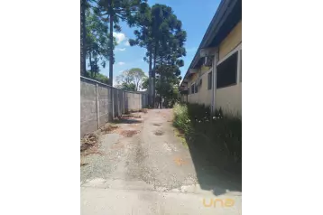 Barracão/Galpão em Colombo - Estrada da Graciosa