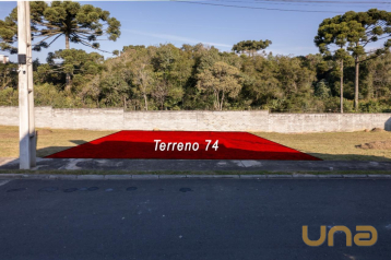 Foto Terreno