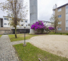 Apartamento 3 quartos Campo Comprido