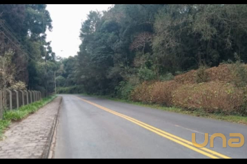 Terreno/Área 20.000m² em Ferraria - Campo Largo/PR
