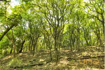 Imobiliária Cilar Vende Terreno no Lamenha Grande com 7.000,71