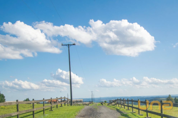 Cabanha à Venda em São Luiz do Purunã l 52.842m² com Estrutura