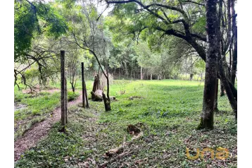 Chácara em CAMPO LARGO/ BATEIAS com 30.250,00m²