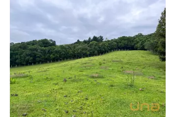 Chácara em CAMPO LARGO/ BATEIAS com 30.250,00m²