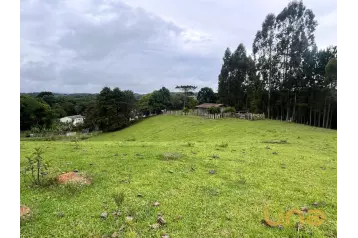 Chácara em CAMPO LARGO/ BATEIAS com 30.250,00m²