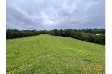 Chácara em CAMPO LARGO/ BATEIAS com 30.250,00m²