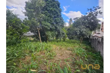 Terreno/Área em ALMIRANTE TAMANDARÉ  com 455,00m²