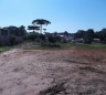 Terreno no Uberaba com 4.500 m²