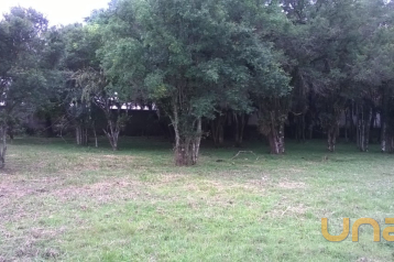 Terreno no UBERABA de 4500,00 m²  - 5971-FT