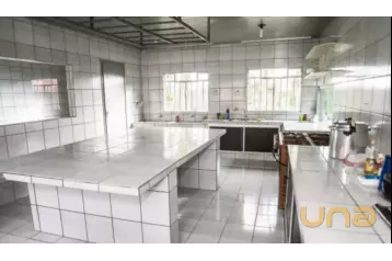 Fazenda para Venda - Roça Velha