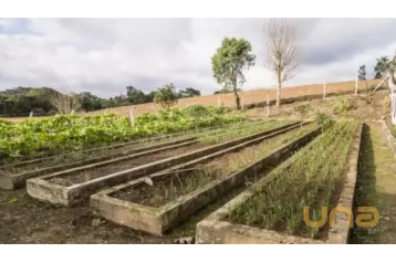 Fazenda para Venda - Roça Velha
