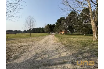 Terreno/Área - São Luiz do Purunã