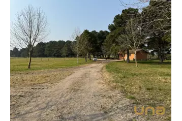 Terreno/Área - São Luiz do Purunã